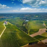 Montalbera Wine 몬테마뇨