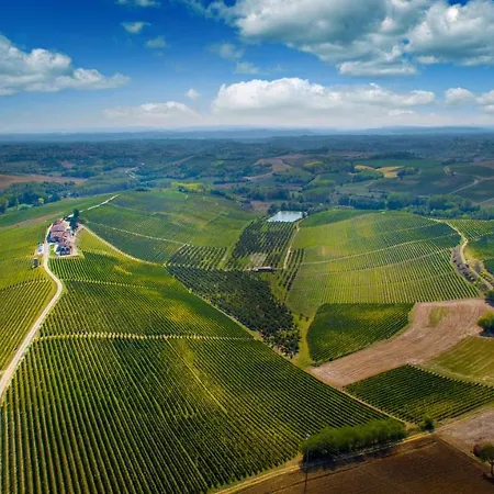 Montalbera Wine Montemagno (Piedmont)