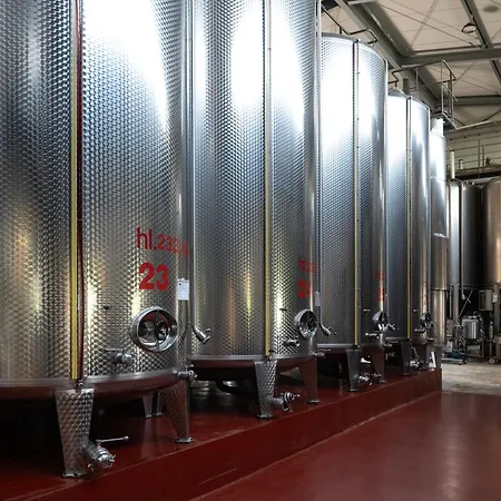 Montalbera Wine Penzion 4*