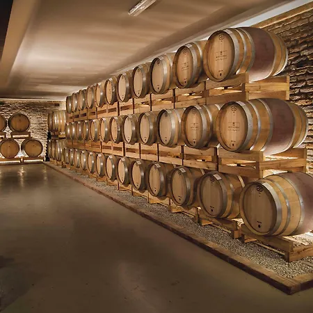 Montalbera Wine - Adults Only 4*